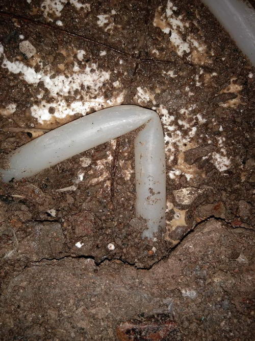 双牌堵点精准查找